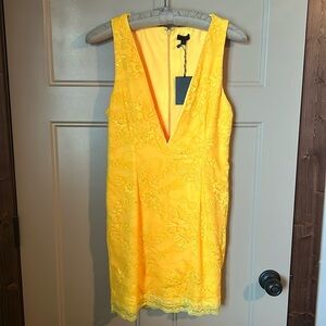 NWT NBD lace dress